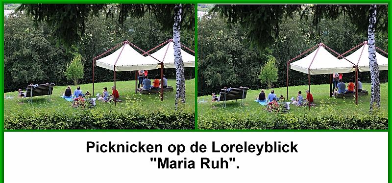 De Romantische Rein 6-8-2016 = dag 3 (91).jpg